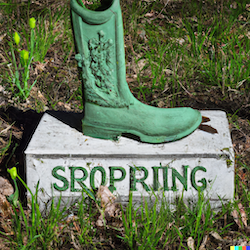 Is Spring Boot Dying?